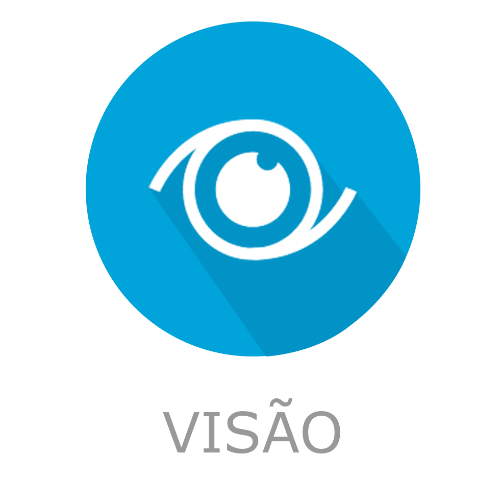 Visao